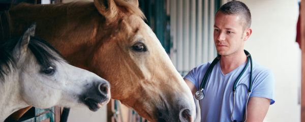 Soigneur animalier