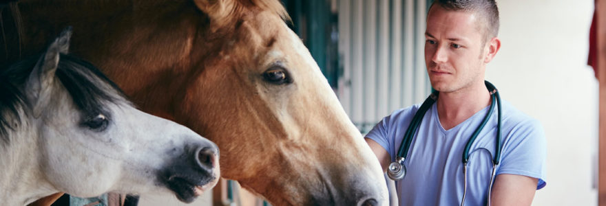 Soigneur animalier